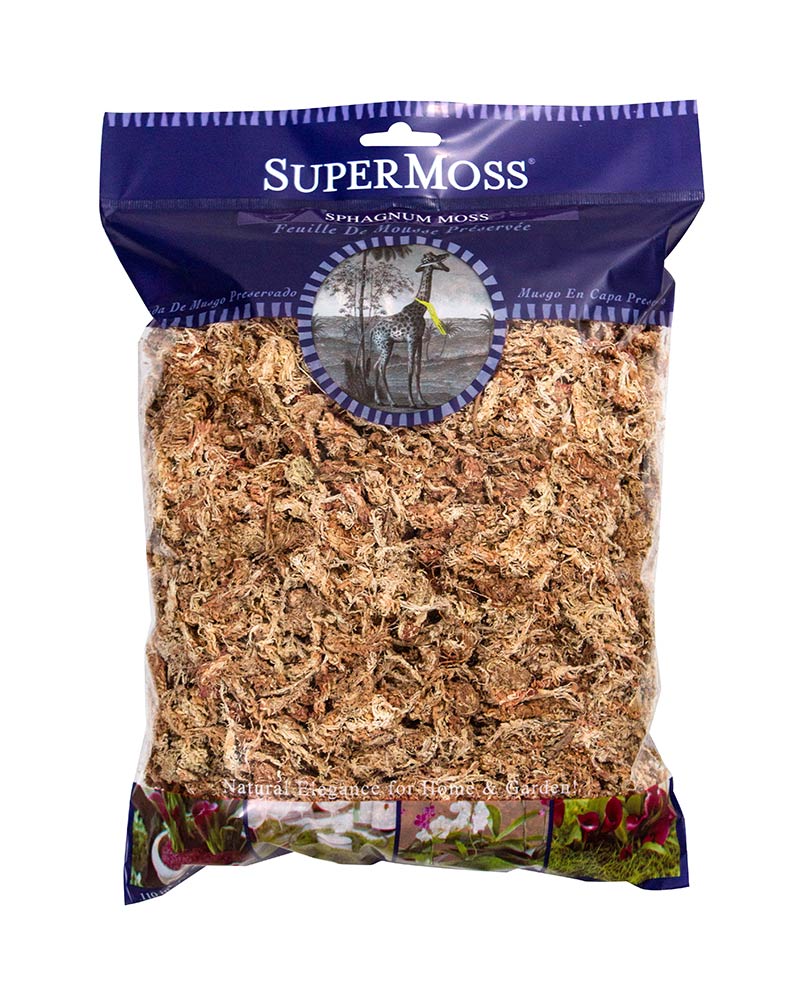 Quality Decorative and Functional Mosses For Sale